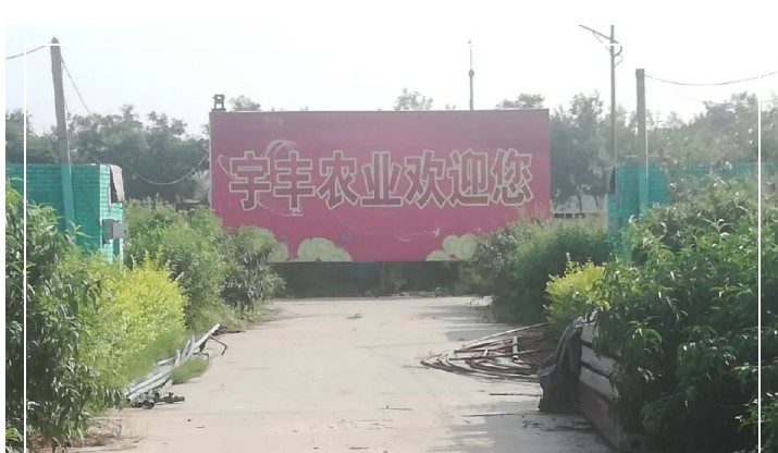 建一個市場、興一方產(chǎn)業(yè)、富一方百姓，孝義農(nóng)產(chǎn)品大市場產(chǎn)供銷一體化在行動！