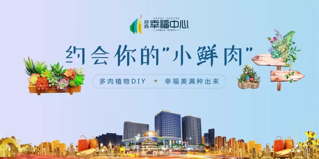 約會(huì)你的“小鮮肉” 多肉植物DIY，幸福美滿種出來(lái)