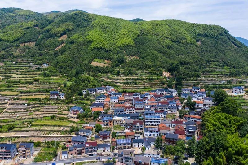 老鄉！別錯過今年這些惠農好政策