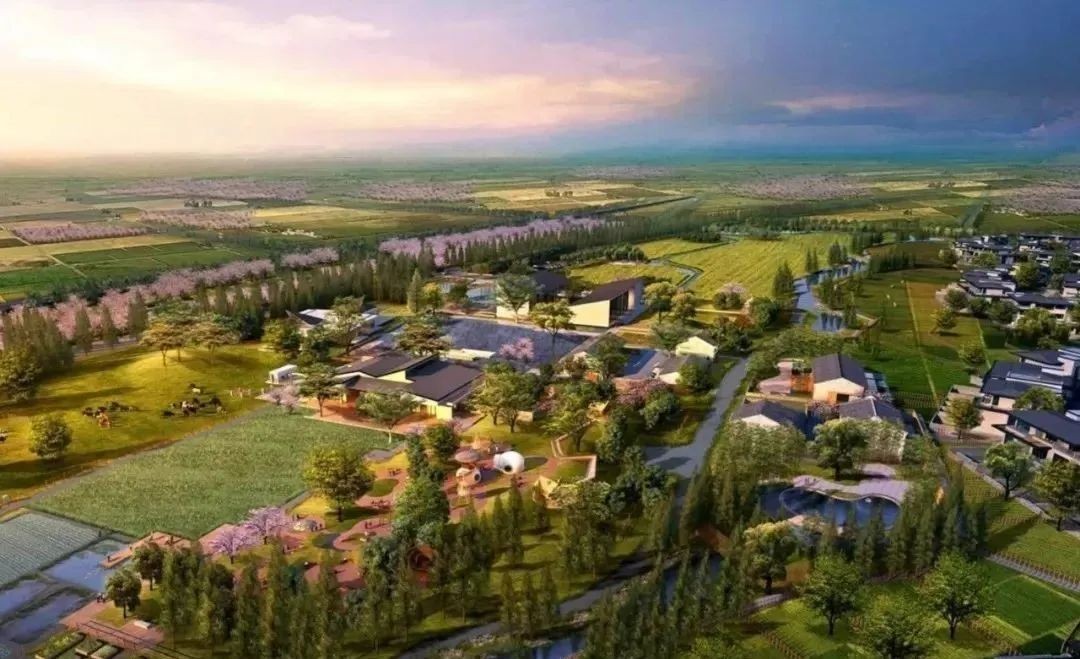 全文！鄉村建設行動實施方案