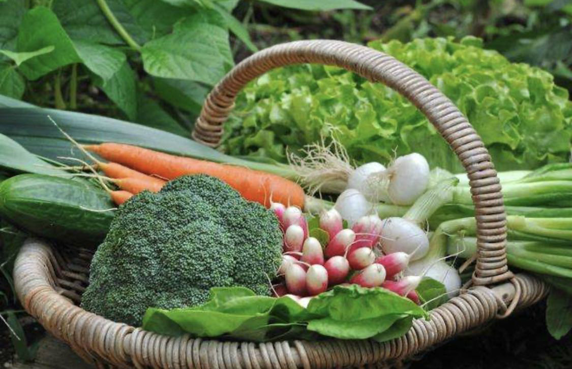 進一步壓實“菜籃子”市長負責制