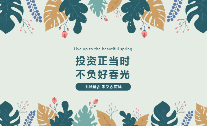 孝義唯一大產(chǎn)權(quán)的農(nóng)批商鋪，投資有保障！